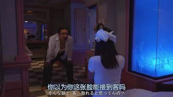 成人限定视频,揭秘成人视频内容的魅力与争议