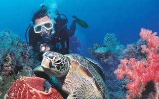 成人潜水教学视频全集